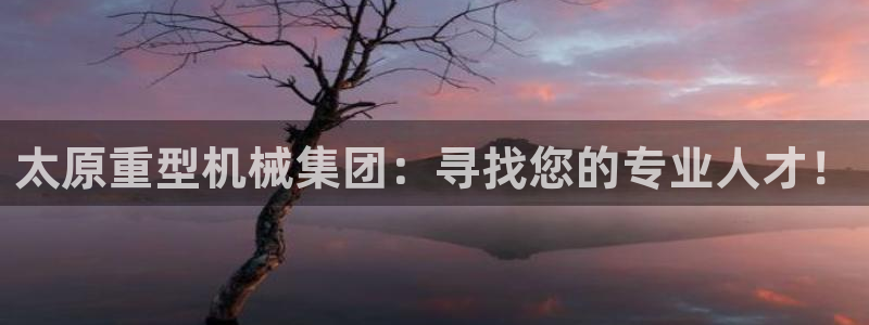 龙八国际手机客户端下载