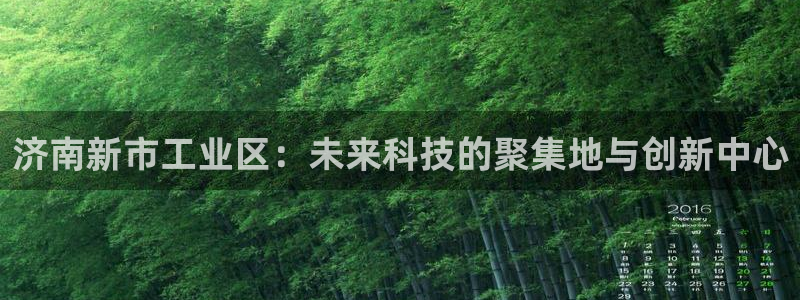 项目名称龙八国际