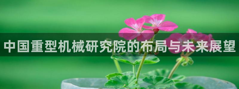 龙八国际有限责任公司