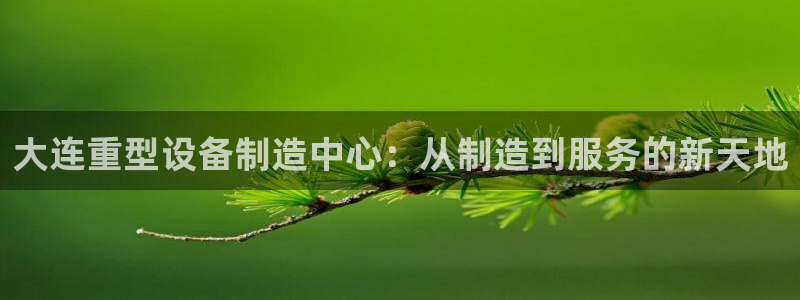 不会玩龙八国际