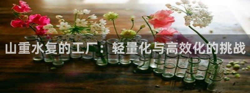 龙八国际手机游戏官网