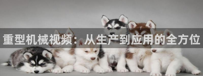 龙八国际APP客户