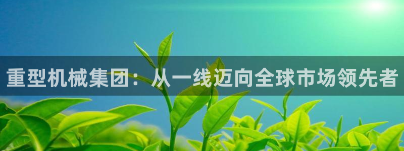 龙八国际服官网下载