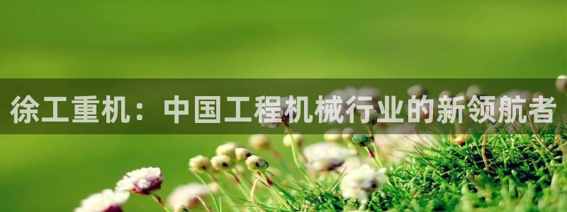 龙八国际pt老虎机官网