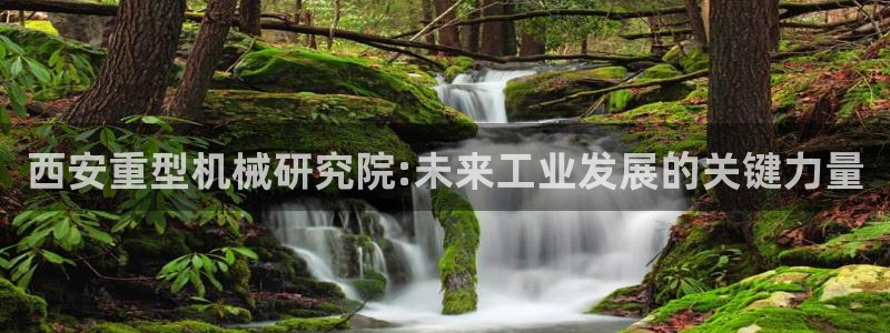 龙八国际官网app