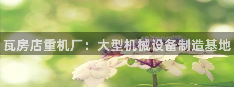 龙八国际游戏登录