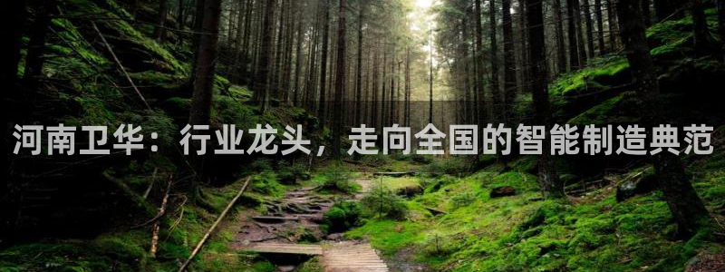 龙八国际头号玩家是谁啊