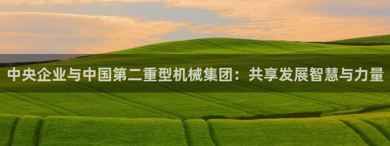 龙八国际娱乐dt 和老虎机