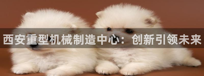 龙八国际娱乐平台