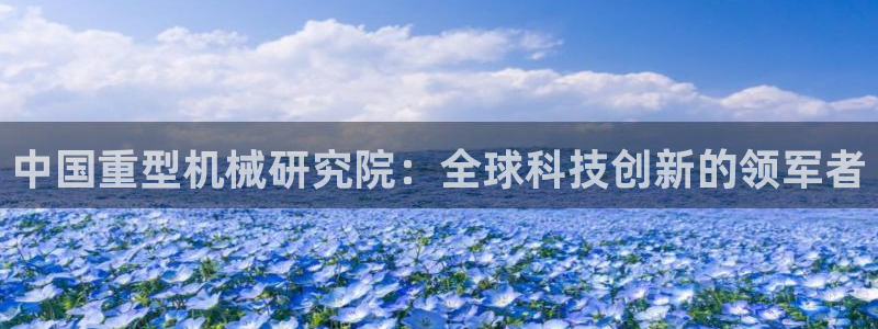 龙八国际老虎机