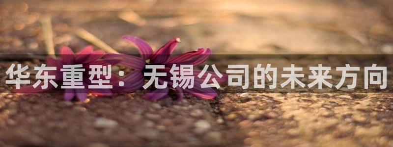 龙八国际App下载地址