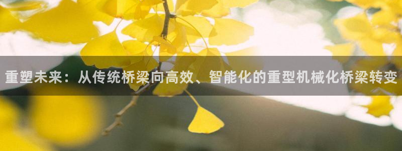 龙八国际老虎机下载