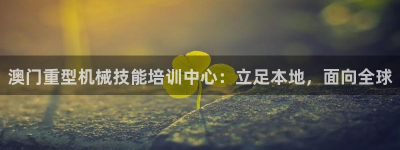 龙八国际软件下载