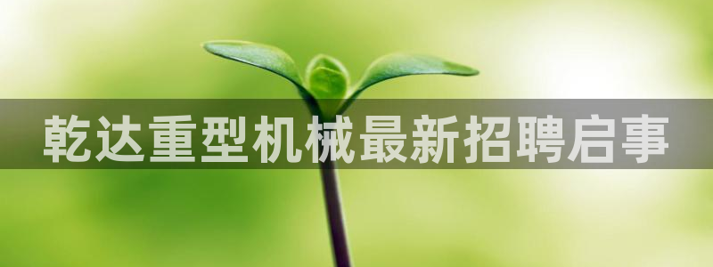 龙八国际app是什么