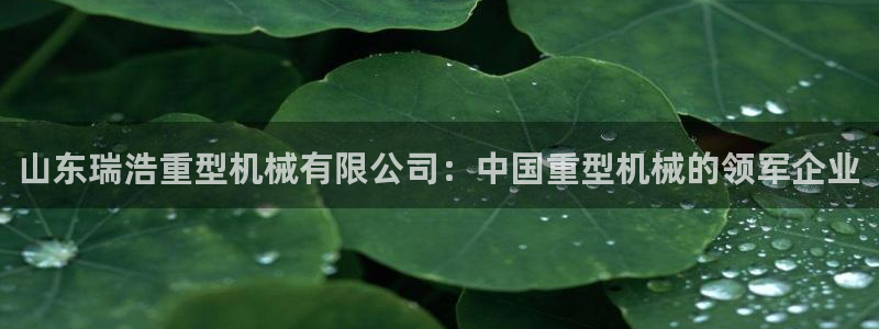 龙八国际下载安装