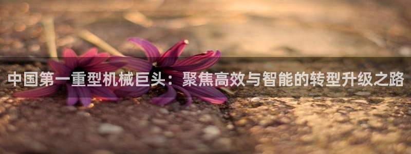 龙八国际登录入口