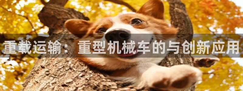 龙八国际优惠券有什么用