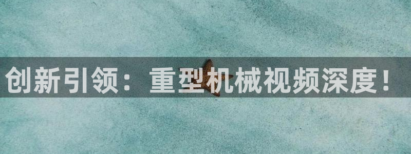 龙八国际app安卓