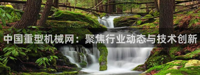 龙八国际安全吗