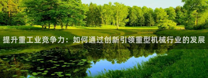 龙八国际l8520
