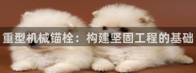 龙八国际下载