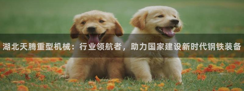 龙八国际在线下载