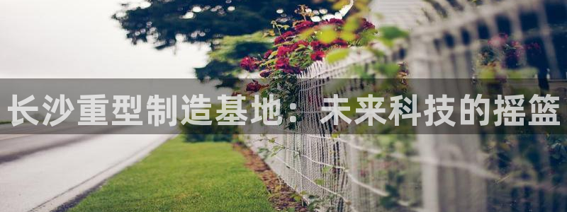 龙八国际官网app