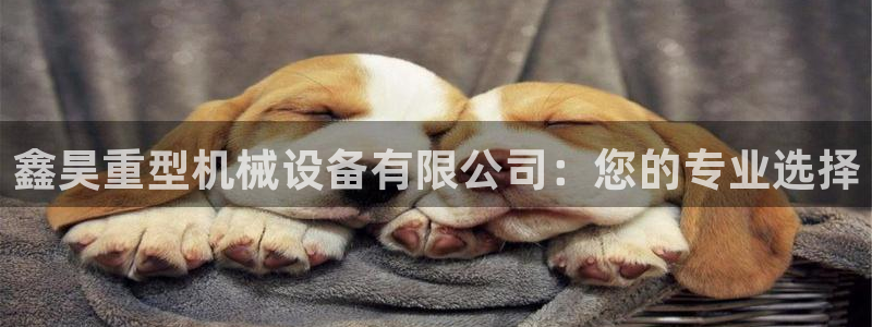 龙八国际娱乐地