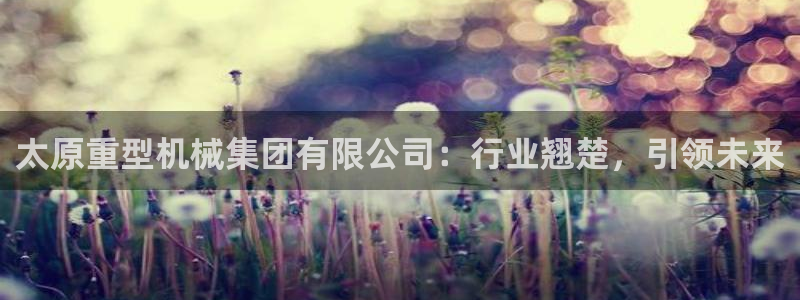 龙八国际苹果下载