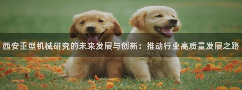 龙八国际app客户端下载手机端