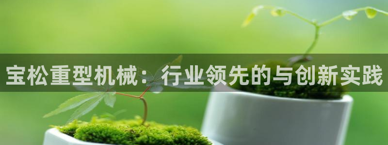 龙八国际mG