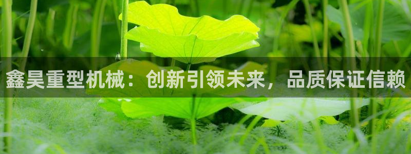 龙八国际APP官方版