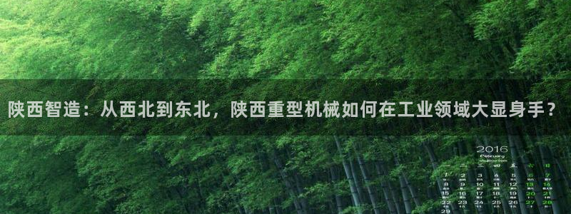 龙八国际备用地址