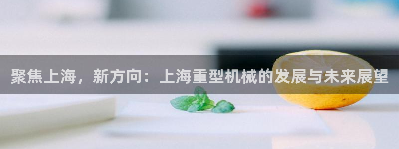 龙八国际娱乐官网手机