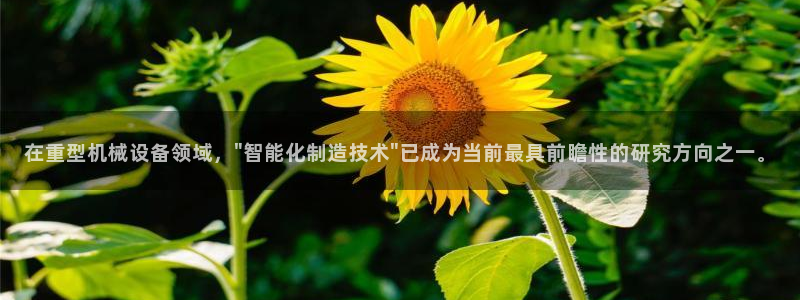 龙八国际娱乐
