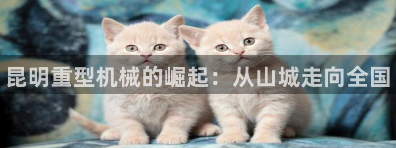 龙八国际手机版官方版app下载