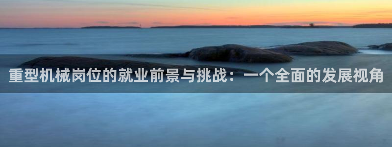 龙八国际是什么软件